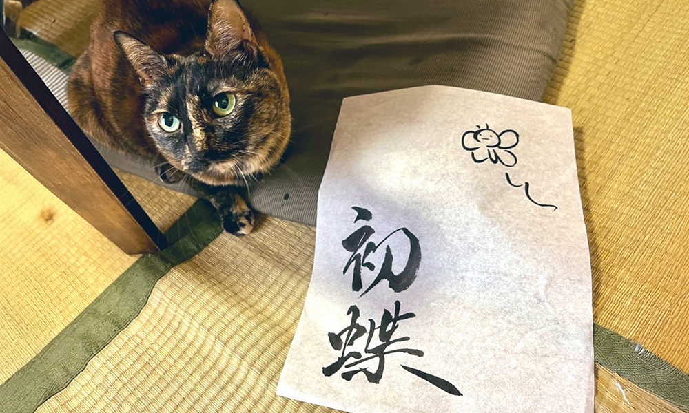 イメージ画像
