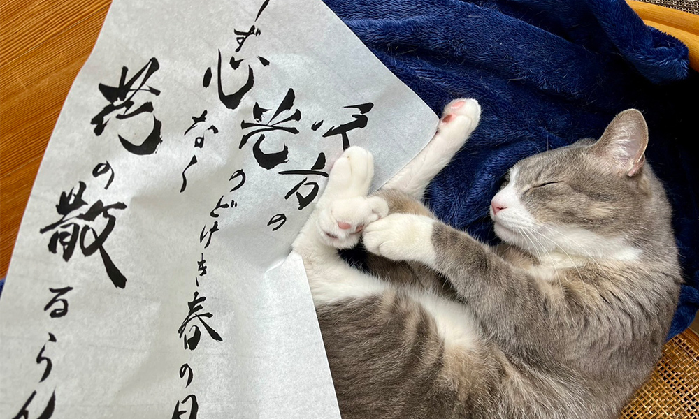 イメージ画像