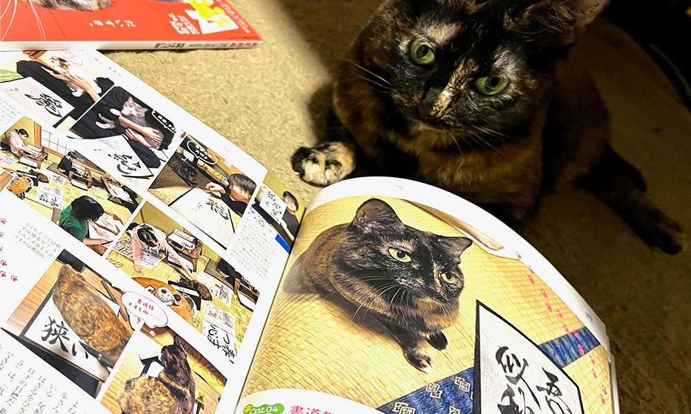 イメージ画像