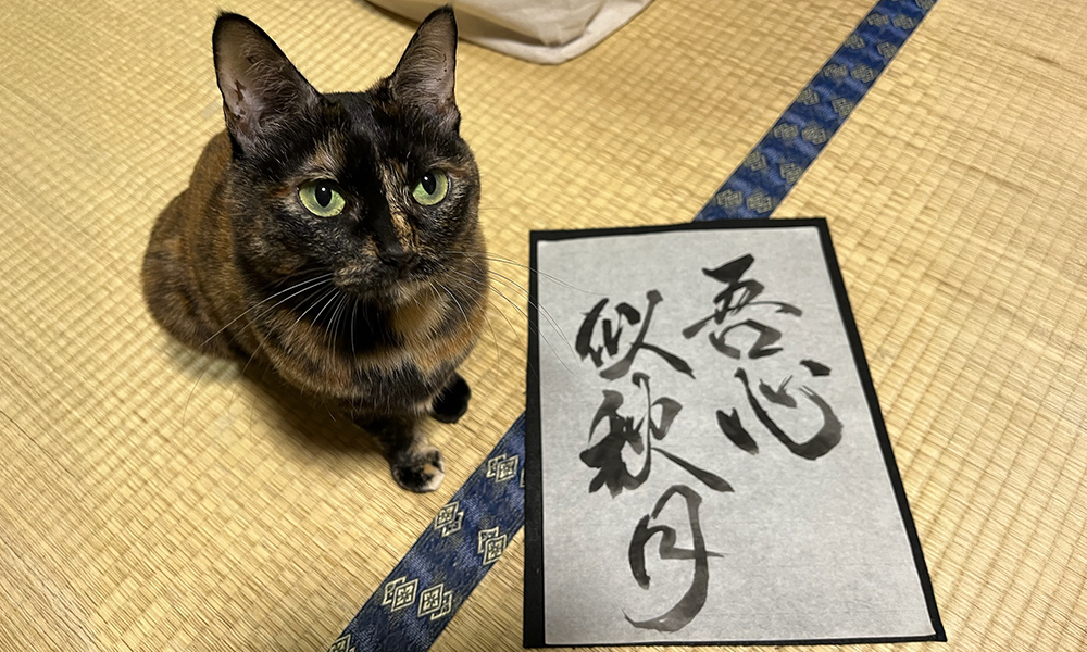 イメージ画像