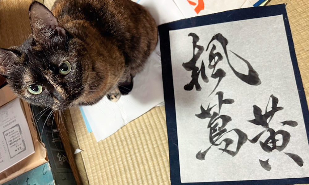 イメージ画像